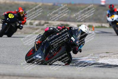 media/Mar-24-2025-2WTD (Mon) [[55b4b08488]]/B Group/220pm (Cotton Corners)/